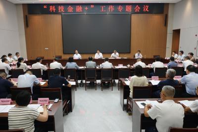 杨军专题研究“科技金融+”专项行动推进工作 建立完善科技金融服务体系 支撑科技创新和产业创新深度融合发展