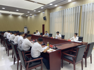 梁细林出席指导通山县委常委会树立和践行正确政绩观学习教育查摆问题检视交流会