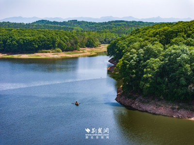 文化中国行｜谷雨：雨生百谷，万物逢时