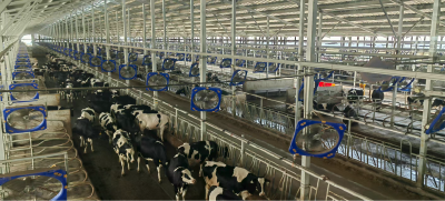 活力中国调研行丨南漳：一杯奶背后的产业链振兴密码