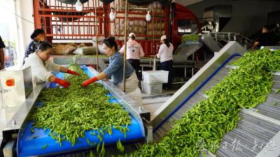 一进一出：产业升级迈新步