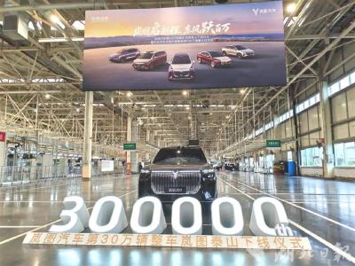 湖北造！央国企首个！