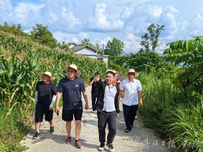 项目吹哨 干部报到——恩施市屯堡乡优化营商环境服务重大项目建设书写“民生答卷”