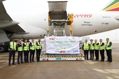 翼展宏图 行稳致远——鄂州花湖国际机场2025年发展纪实