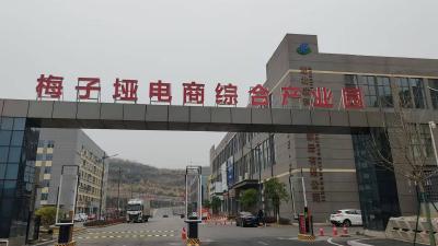 村里的“年终奖”，藏着共富密码