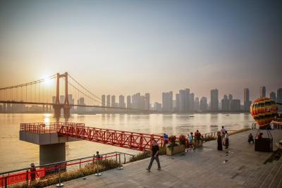 东湖北望 |春光正好！带你打卡武汉百里长江生态廊道