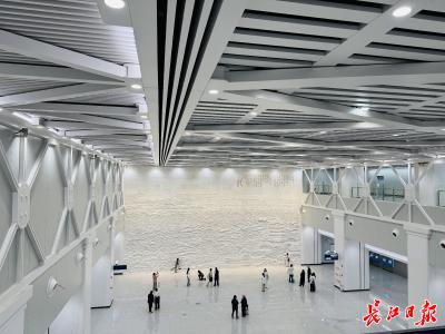 12号线这面墙为什么这么火，听听设计者怎么说