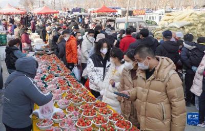 从烟火气、忙碌劲儿看更好统筹丨元旦假期消费市场盘点：人气渐旺，暖意渐浓