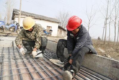 龙湾镇加快高标准农田建设