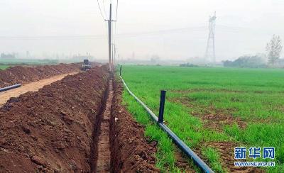 粮食获丰收、特色产业旺 三秦大地乡村振兴结硕果