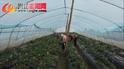 春耕始，农忙时，生态农场竞春光