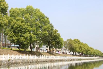 人居环境展新颜 乡村振兴亮底色