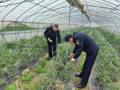 周矶街道开展农资市场专项整治“回头看”