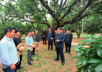 瞭望丨习近平总书记的实践观