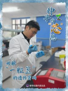 习近平总书记关切事丨种子的“芯”愿