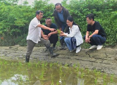 科技特派员为农户“添智助力”