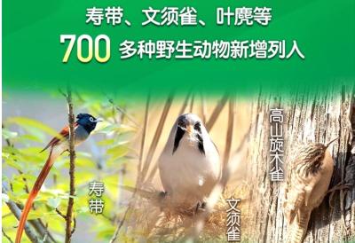 叶麂、寿带等野生动物列入新“三有”名录 野猪等调出