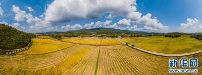 聚焦高质量发展丨广西南宁市青秀区：厚植投资沃土 激活经济发展新动能