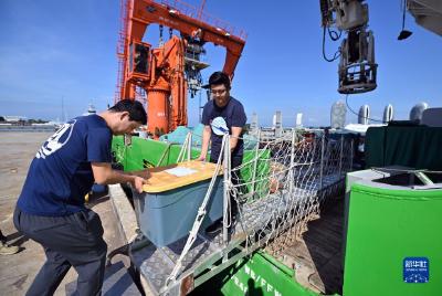 南海西北陆坡沉船遗址已提取出水瓷器等近580件（套） 