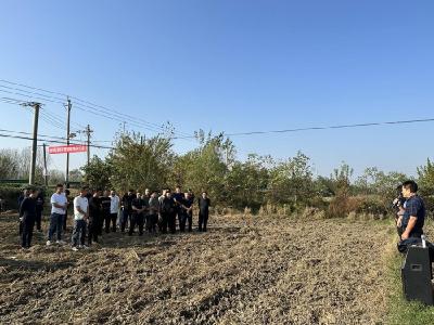 杨市街道：三步“灭茬计划”蹚出秸秆禁烧新路