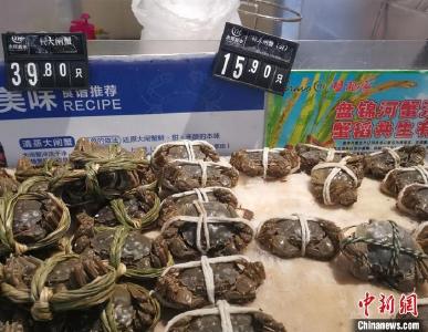 你吃大闸蟹了吗？降价了，便宜的一只不到10元 