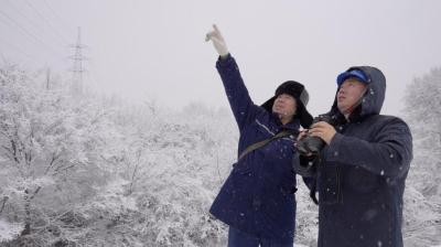 各地积极防范应对低温雨雪冰冻见闻