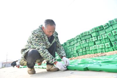 建设“生态浮岛” 净化河水水质