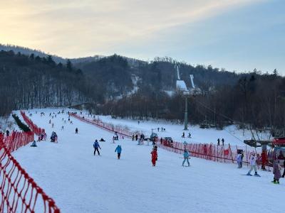 丰富产品提升体验 各地多举措释放冰雪经济新动能