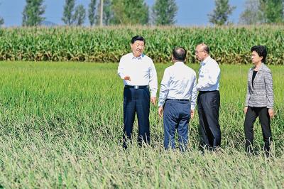 《求是》杂志发表习近平总书记重要文章《切实加强耕地保护 抓好盐碱地综合改造利用》