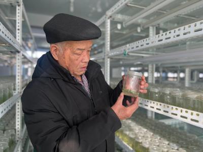 新春走基层·黄土地上的“大食物”丨一颗土豆的全产业链“革命” 