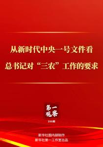 从新时代中央一号文件看总书记对“三农”工作的要求