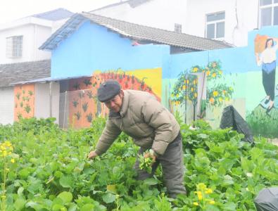 泰丰街道洪庙村：共建共享幸福生活