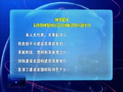 杨勇建议：支持潜网集团打造中国虾谷供应链平台