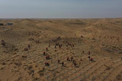 新华全媒+丨“植”此新绿——多地植树节活动扫描