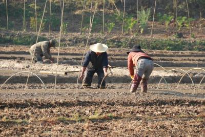 耕耘在春天里——各地抢抓农时开展春耕备耕