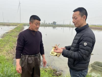 送技到田头 虾农喜心头