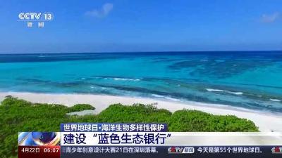 给海洋送鱼、用贝类净水 蓝色粮仓“种”出这些新成果 