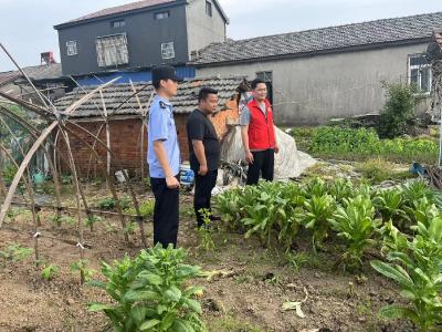 白鹭湖管理区开展禁种铲毒踏查行动