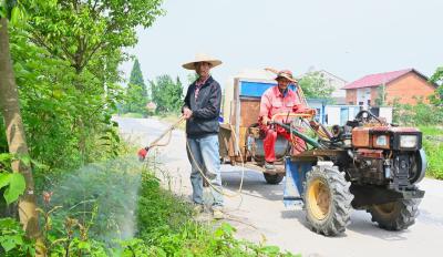 后湖管理区流塘办事处大力开展人居环境整治