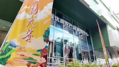 潜江市晓飞歌团队在湖北优质农产品电商直播大赛上斩获多项殊荣