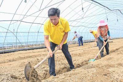 半夏基地助农增收