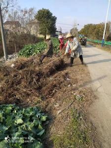 流塘办事处对道路环境卫生进行全面整治