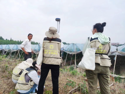 市文化和旅游局：传承文化“软实力” 为精致之城赋能加码