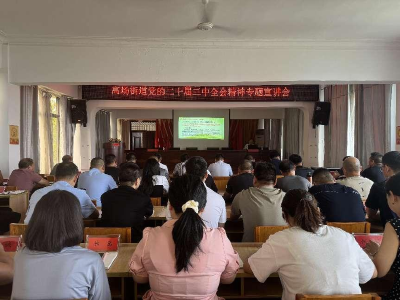 高场街道组织开展学习贯彻党的二十届三中全会精神专题宣讲会