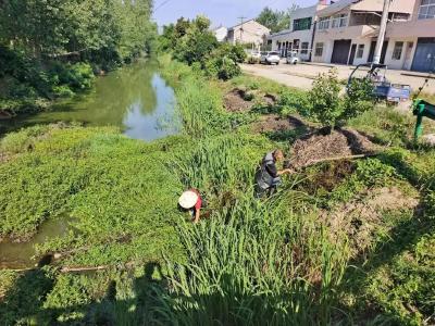 杨市街道：环境大整治 河渠换“新颜”