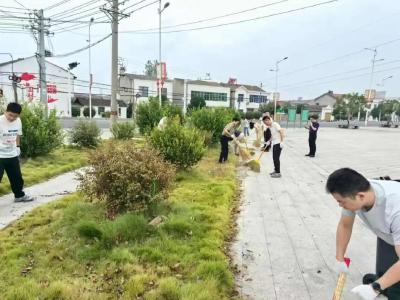 “全民洁城”张金在行动
