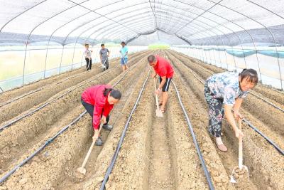 打造观光采摘园 助力乡村振兴