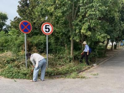 总口管理区：改善人居环境 建设美丽乡村