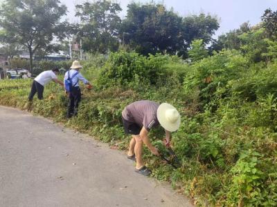 总口管理区江湾社区：干群同心 扮靓美丽家园