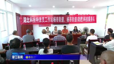 杨市街道举办化肥减量增效技术培训会